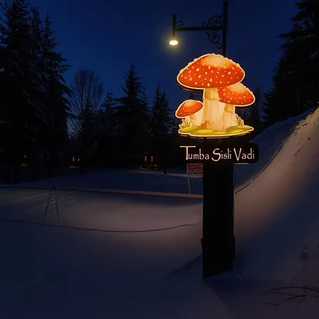 Tumba Sisli Vadi ホテル *