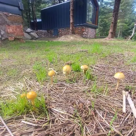 Tumba Sisli Vadi Otel *