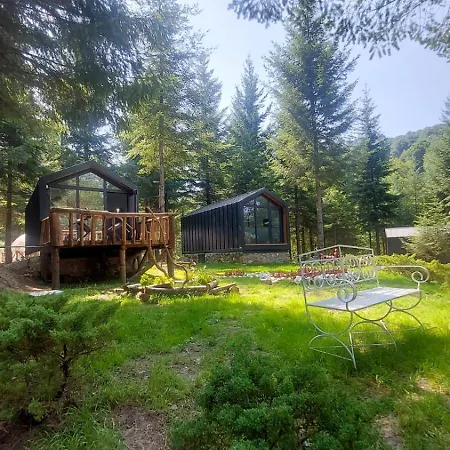 Tumba Sisli Vadi * Kartepe