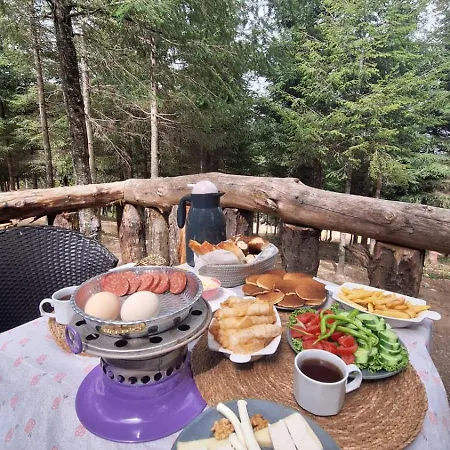 Tumba Sisli Vadi * Kartepe