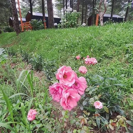 Otel Tumba Sisli Vadi