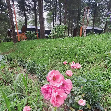 Tumba Sisli Vadi Otel Kartepe