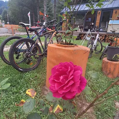 Tumba Sisli Vadi Kartepe