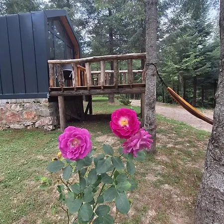 Tumba Sisli Vadi * Kartepe