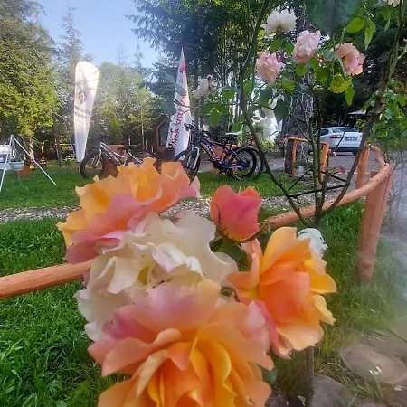 Tumba Sisli Vadi Otel Kartepe