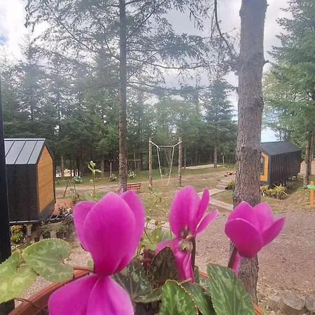 Otel Tumba Sisli Vadi Kartepe