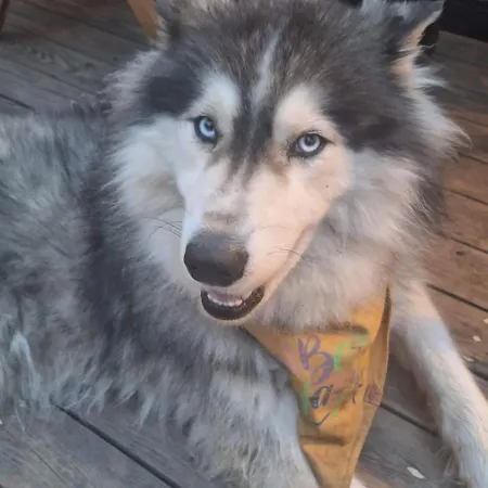 Tumba Sisli Vadi Otel *