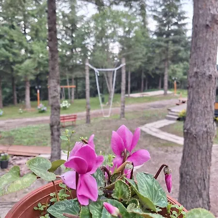 Tumba Sisli Vadi