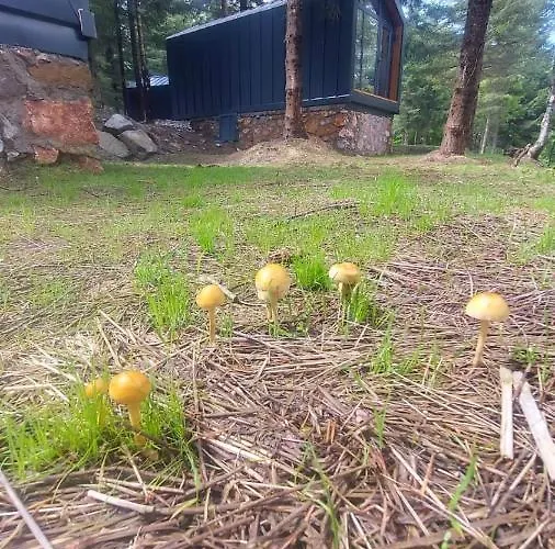 Tumba Sisli Vadi Hotel *