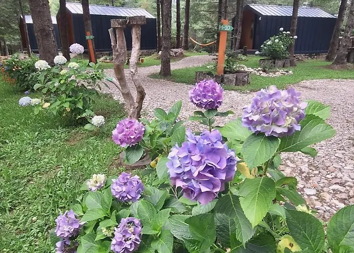 Tumba Sisli Vadi Kartepe