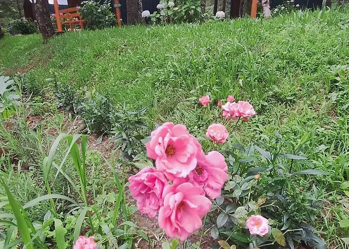 Hotel Tumba Sisli Vadi