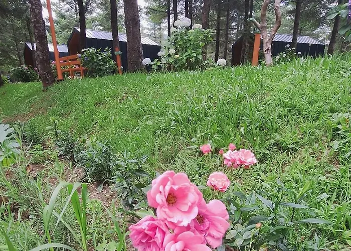 Tumba Sisli Vadi Hotel Kartepe