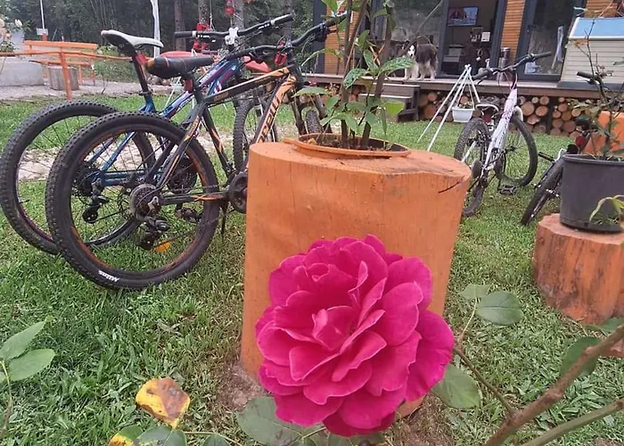 Tumba Sisli Vadi Kartepe