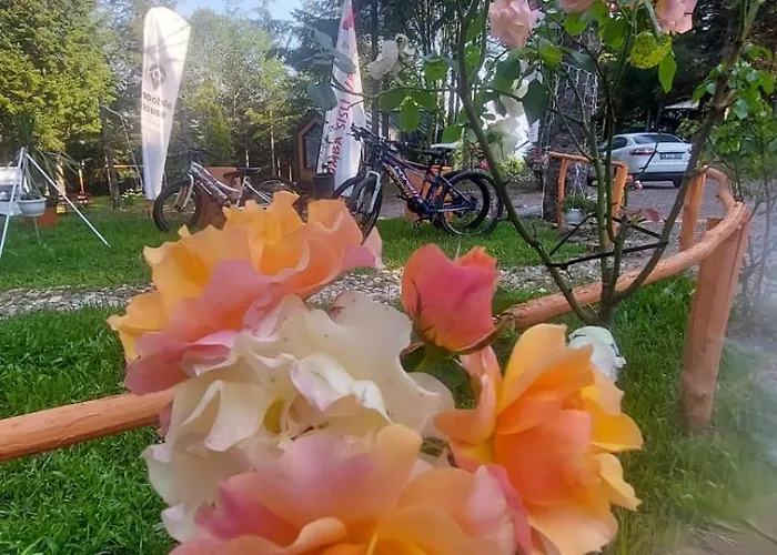 Tumba Sisli Vadi Hotel Kartepe