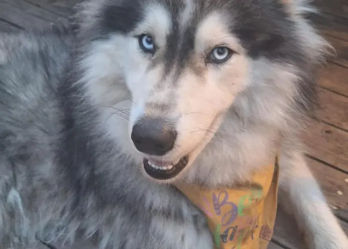 Tumba Sisli Vadi Hotel *