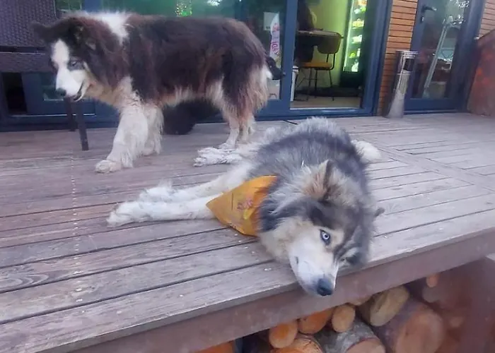 Tumba Sisli Vadi * Kartepe